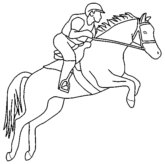 Horse Jumping Drawing at GetDrawings | Free download