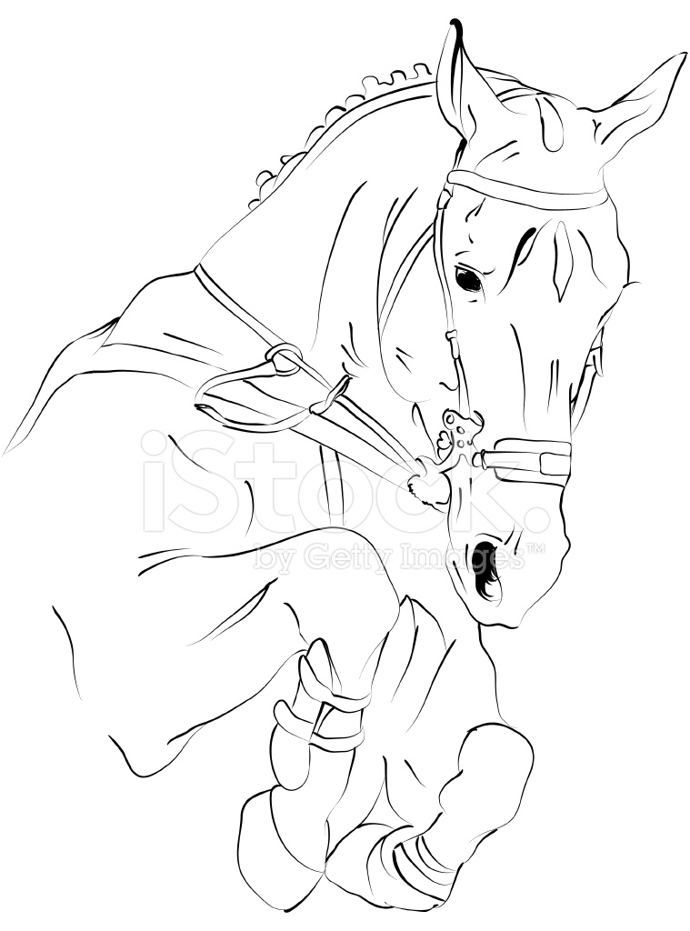 Horse Jumping Drawing at GetDrawings | Free download