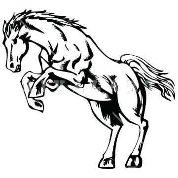 Horse On Hind Legs Drawing at GetDrawings | Free download