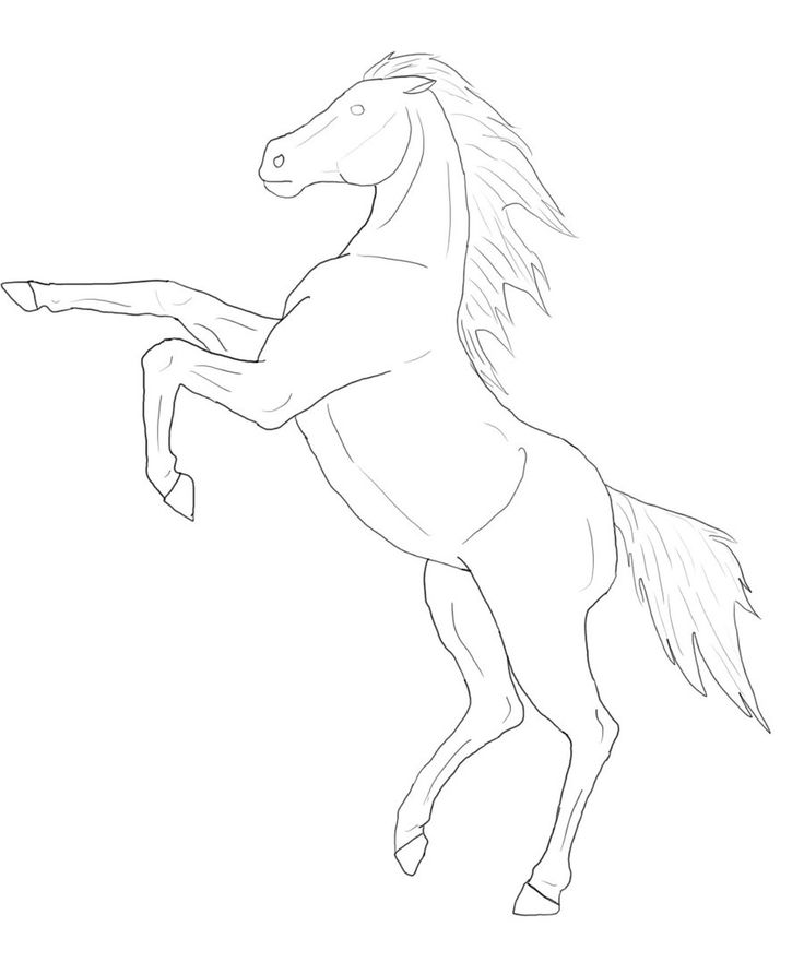 Horse On Hind Legs Drawing at GetDrawings Free download