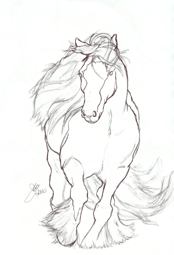 Horse Rearing Drawing at GetDrawings Free download