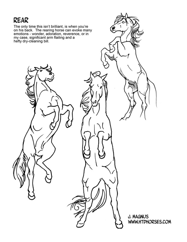 Horse Rearing Up Drawing at GetDrawings | Free download