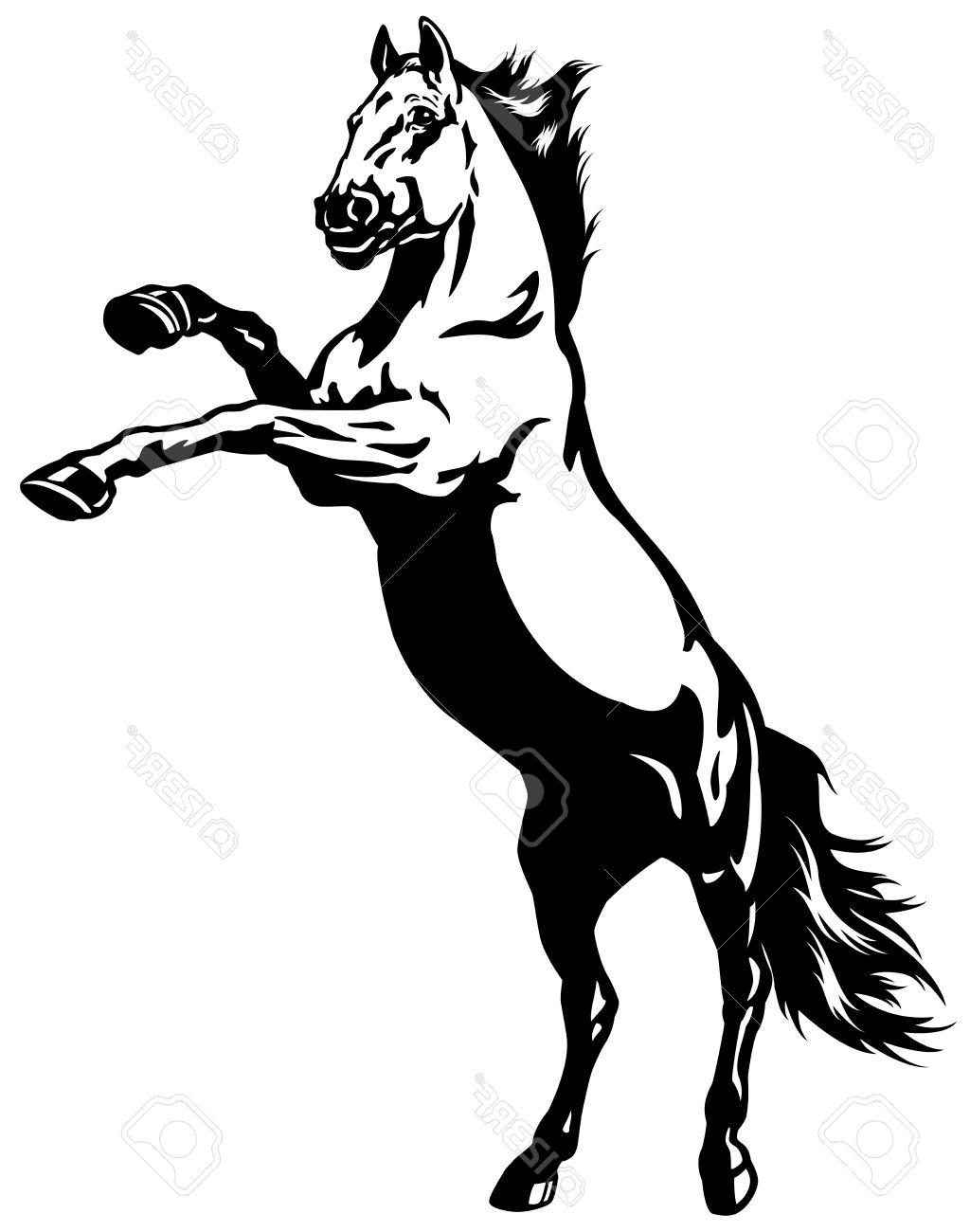 Horse Rearing Up Drawing at GetDrawings | Free download