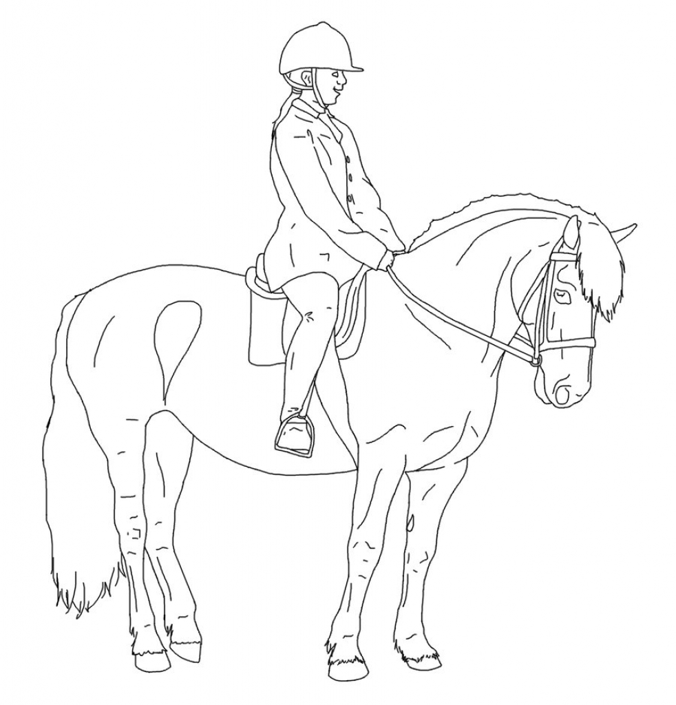 Easy Sketch Horse Drawing With Rider with Realistic