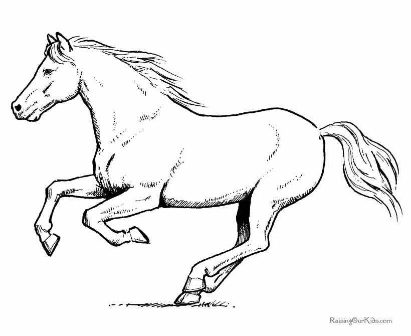 Horse Running Drawing at GetDrawings | Free download