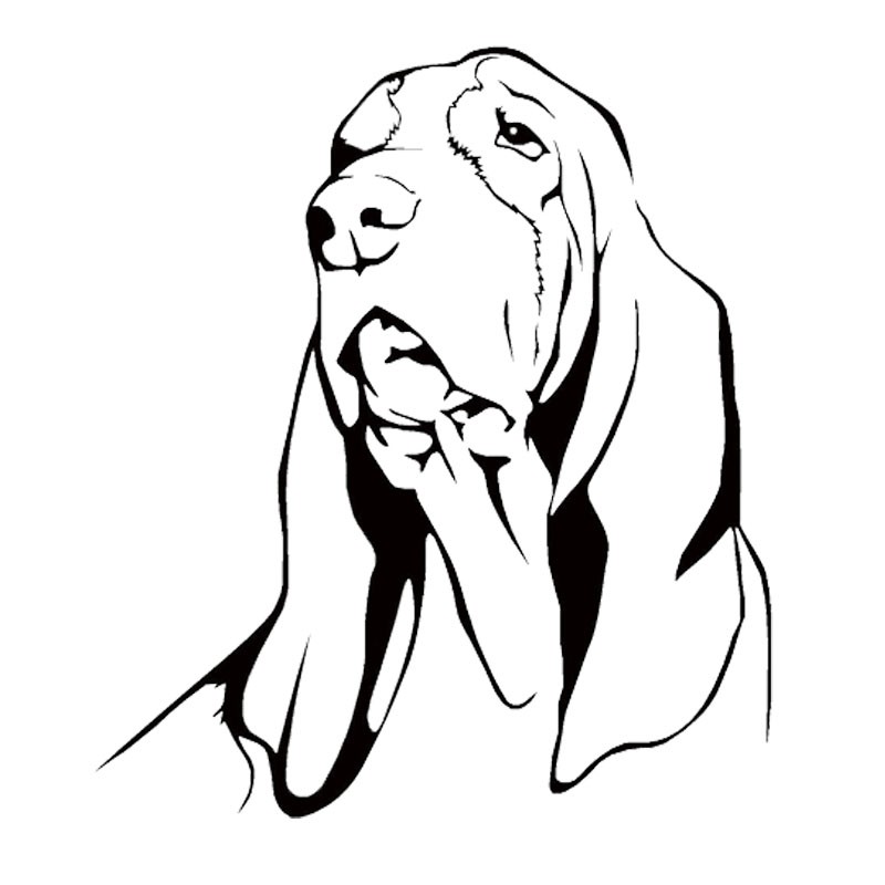 The best free Hound drawing images. Download from 309 free