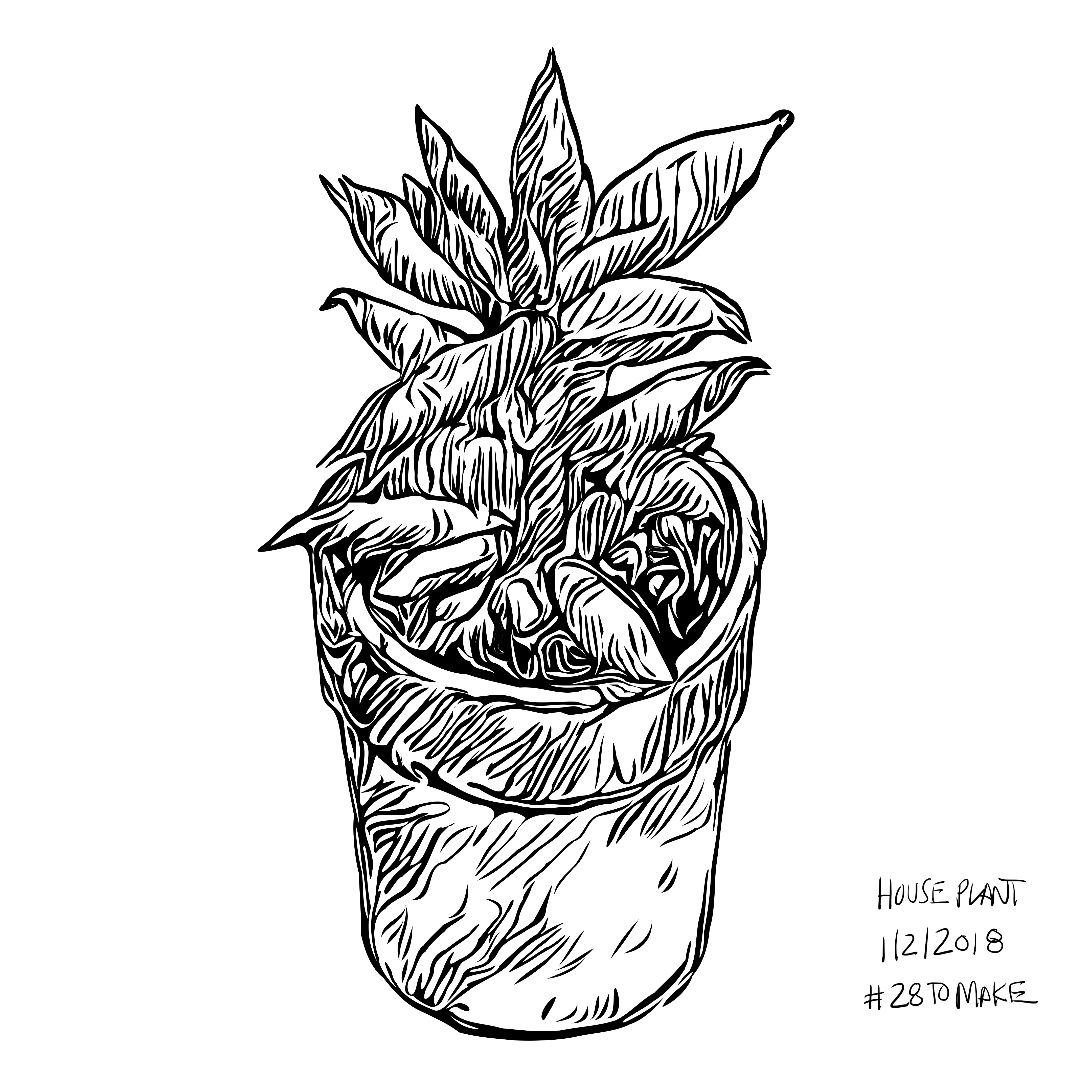 House Plant Drawing at GetDrawings | Free download