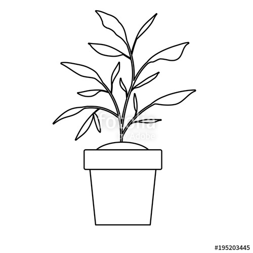 House Plant Drawing at GetDrawings | Free download