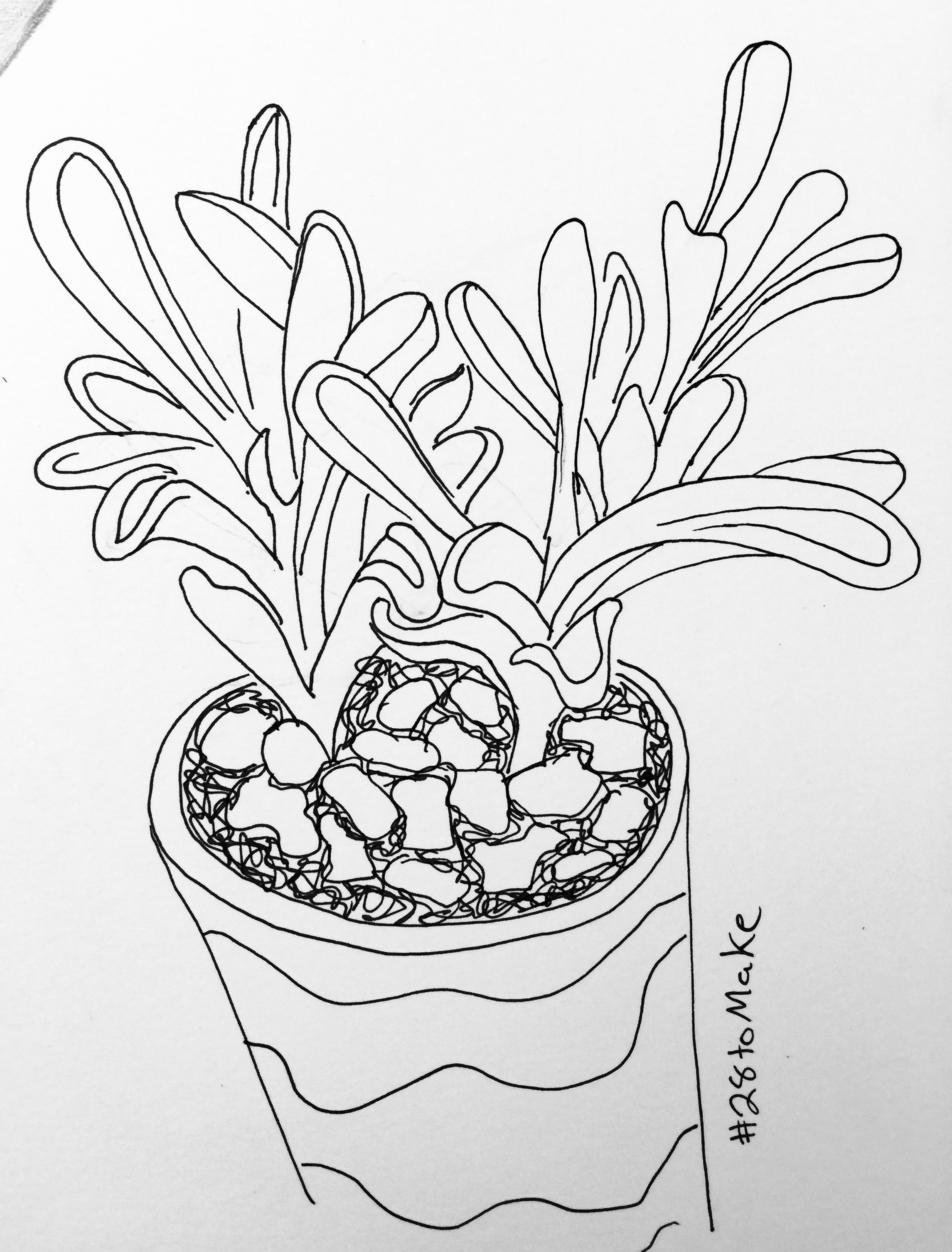 Potted House Plant Drawing : High detailed models of plant with all