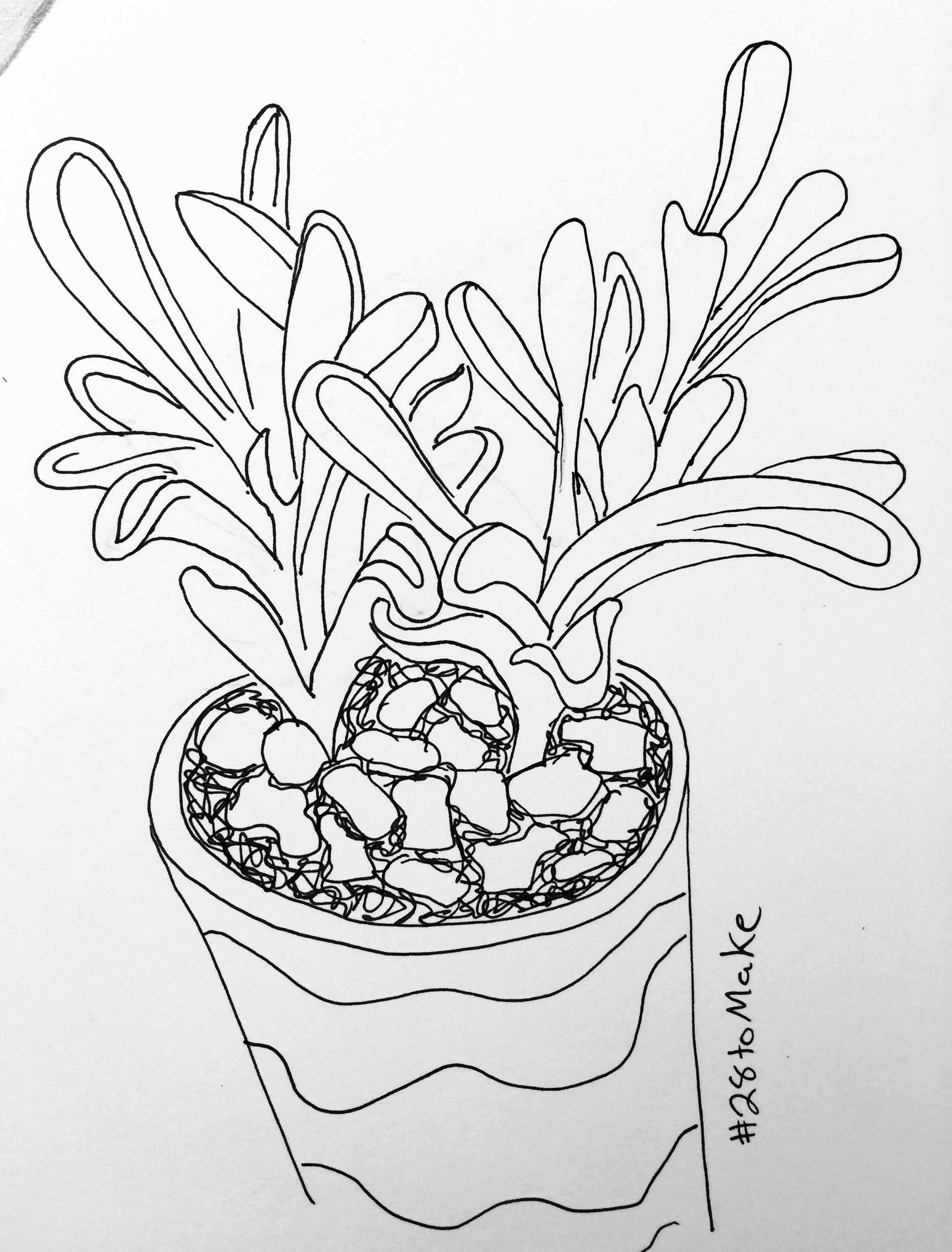 House Plant Drawing at GetDrawings Free download