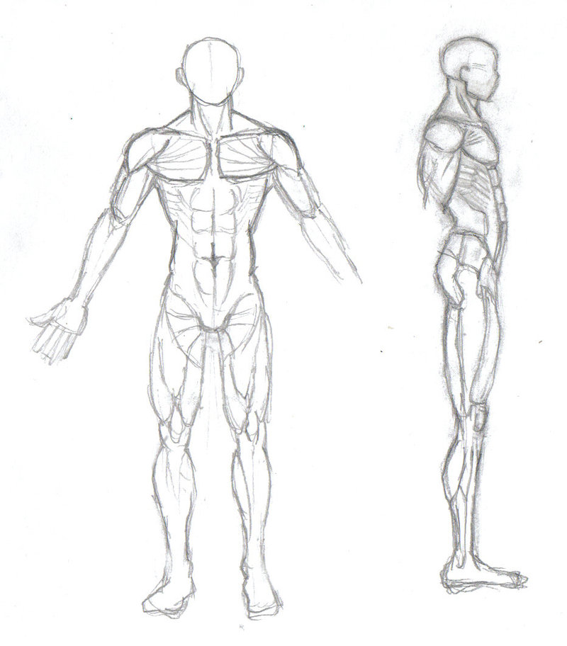 The best free Human body drawing images. Download from 11826 free