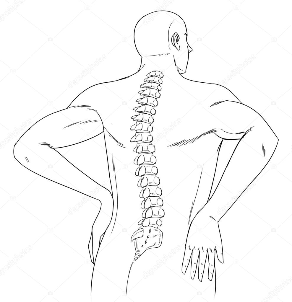 Human Back Drawing at GetDrawings Free download