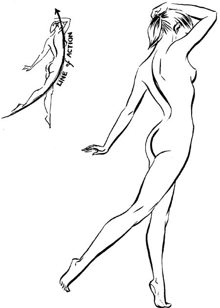 Women Human Body Drawing : Female Body Drawing Stock Illustrations 32