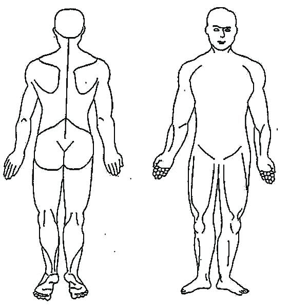 The best free Human body drawing images. Download from 11826 free