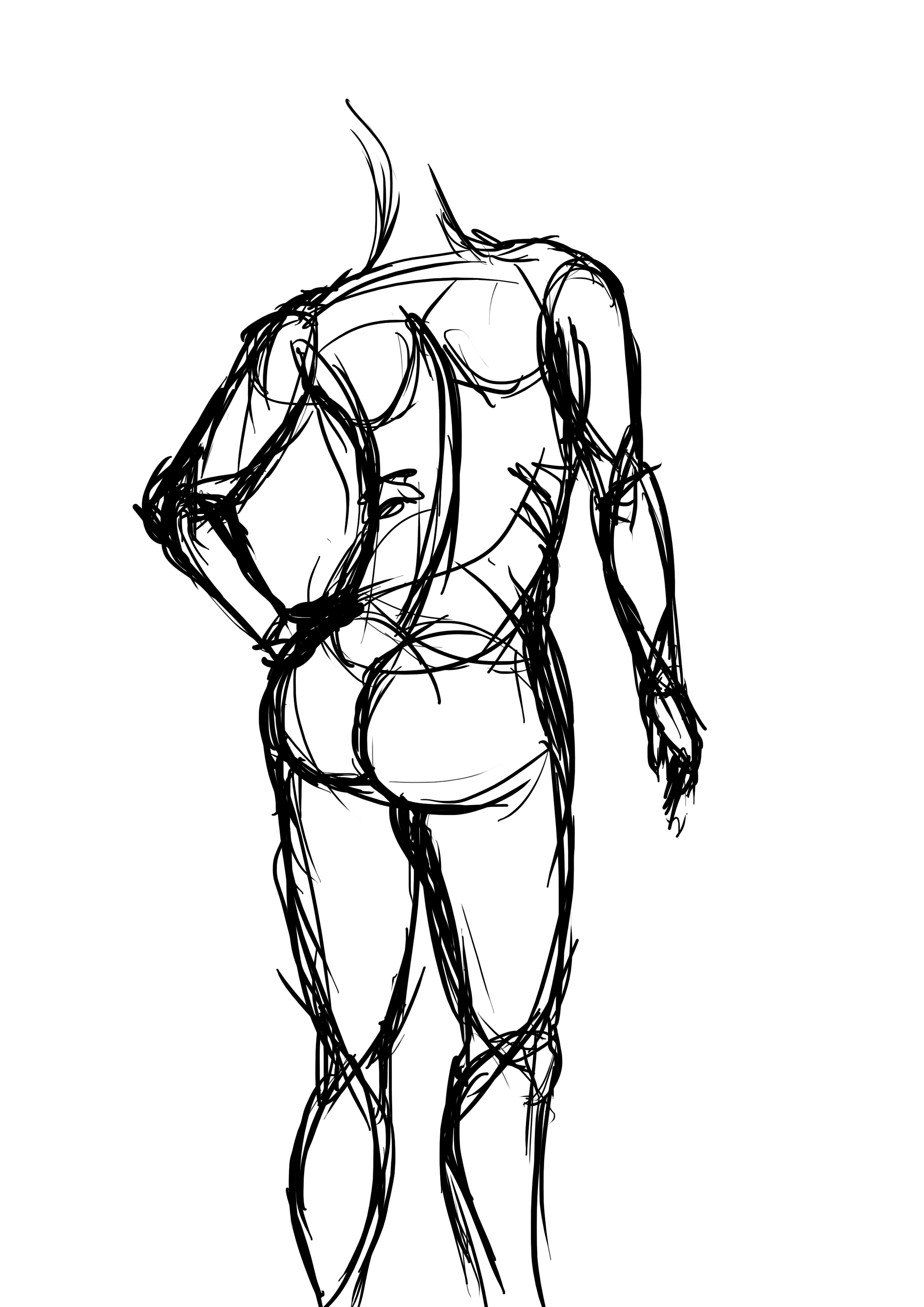 body anatomy drawing practice