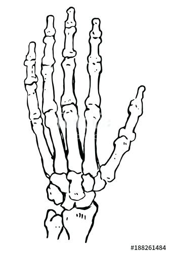 Human Body Line Drawing at GetDrawings | Free download