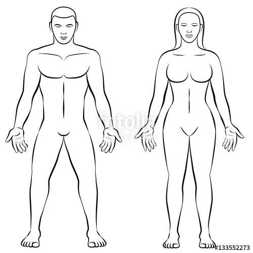 Featured image of post Female Human Body Outline Drawing