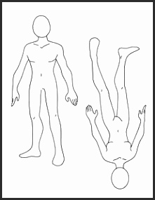 Human Body Outline Drawing at GetDrawings | Free download