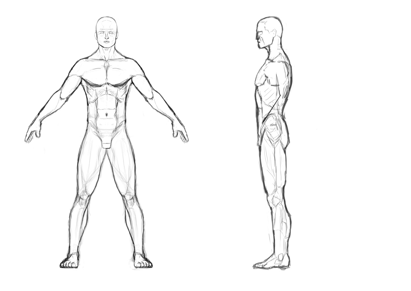 Blank Anime Male Body Template canvas ville