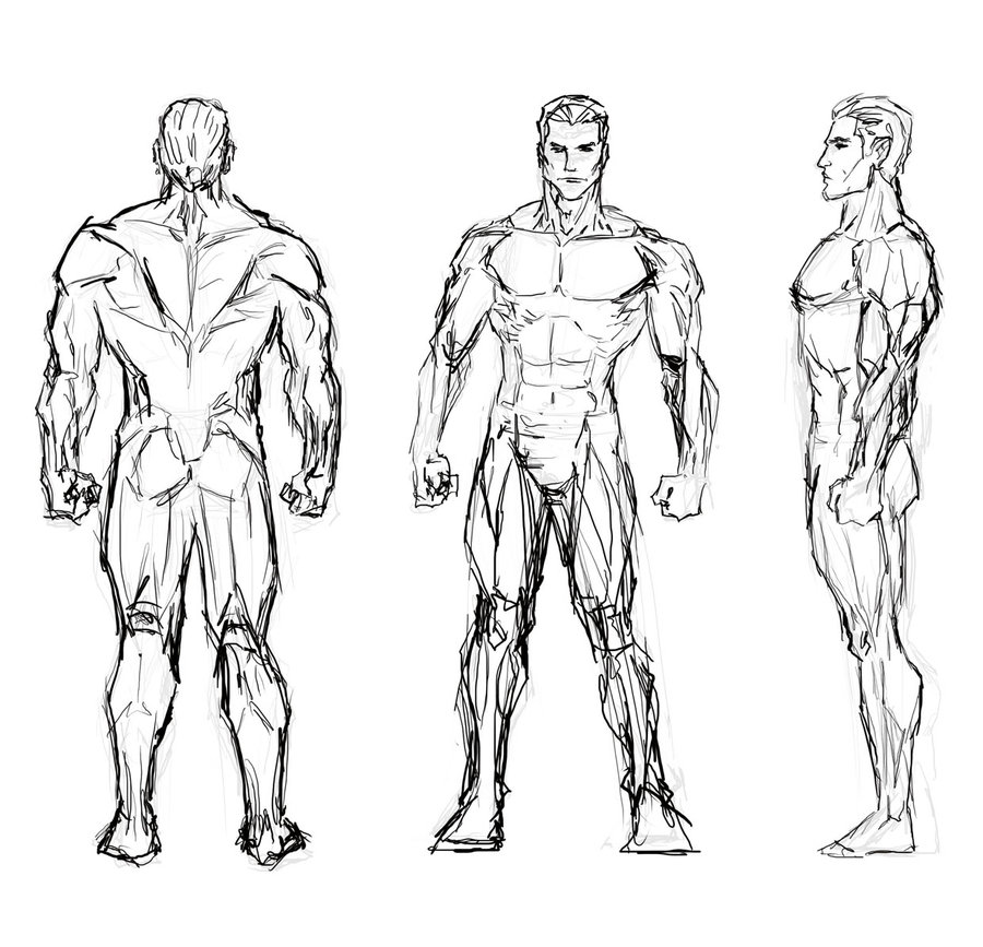 sketches of the human body