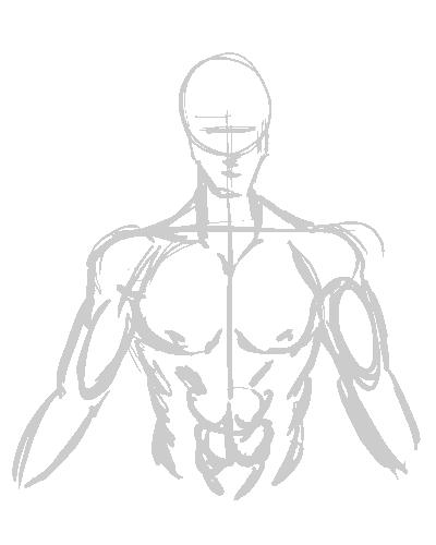 Human Chest Drawing At Getdrawings Free Download