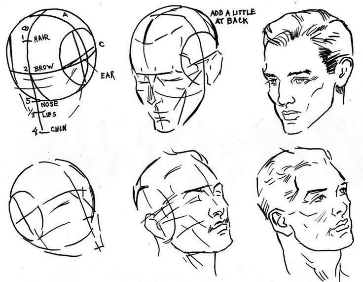 human face anatomy sketches