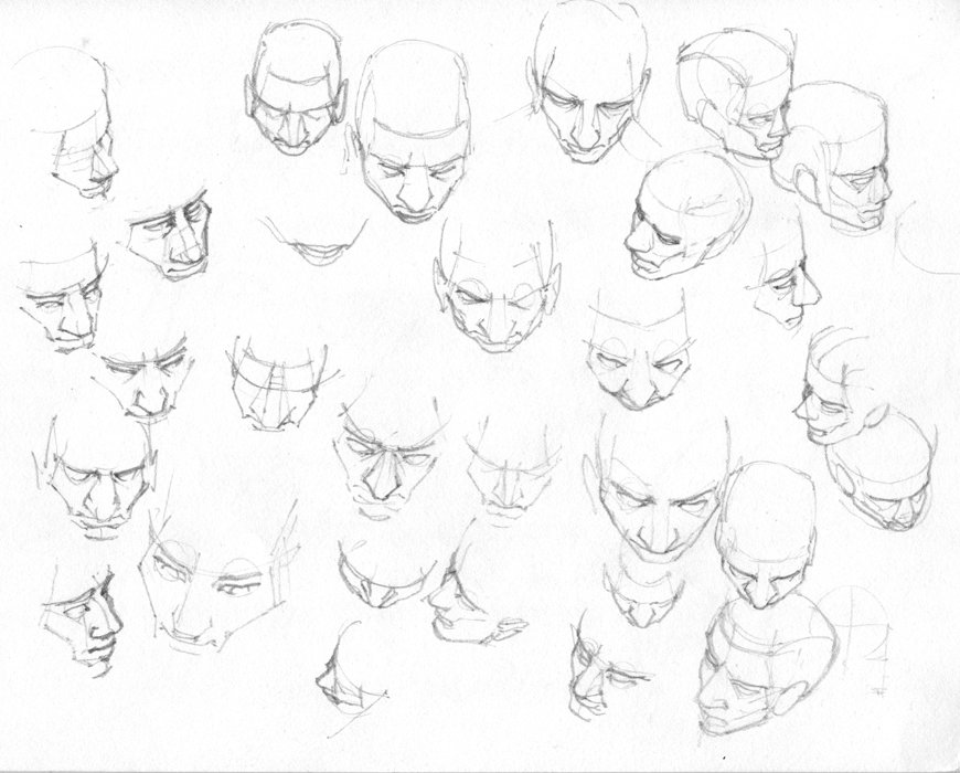 Human Head Anatomy Drawing at GetDrawings | Free download