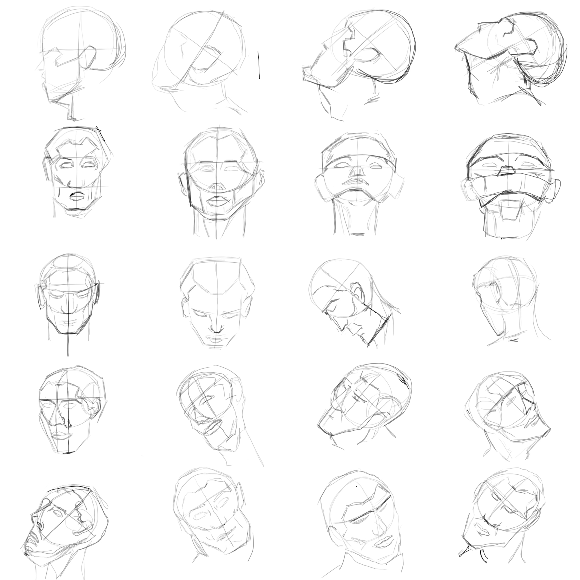 Human Head Anatomy Drawing At Getdrawings 