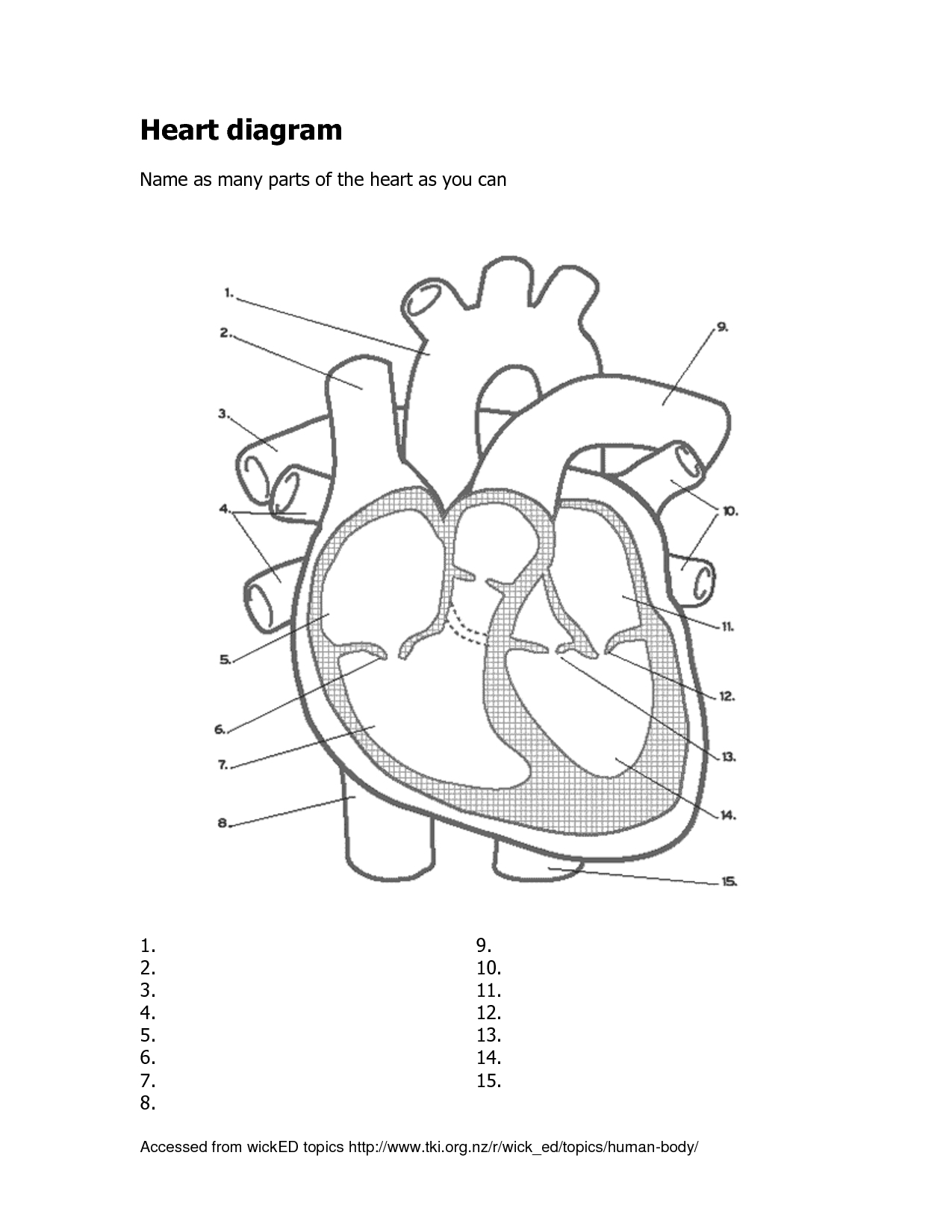 Human Heart Simple Drawing at GetDrawings | Free download