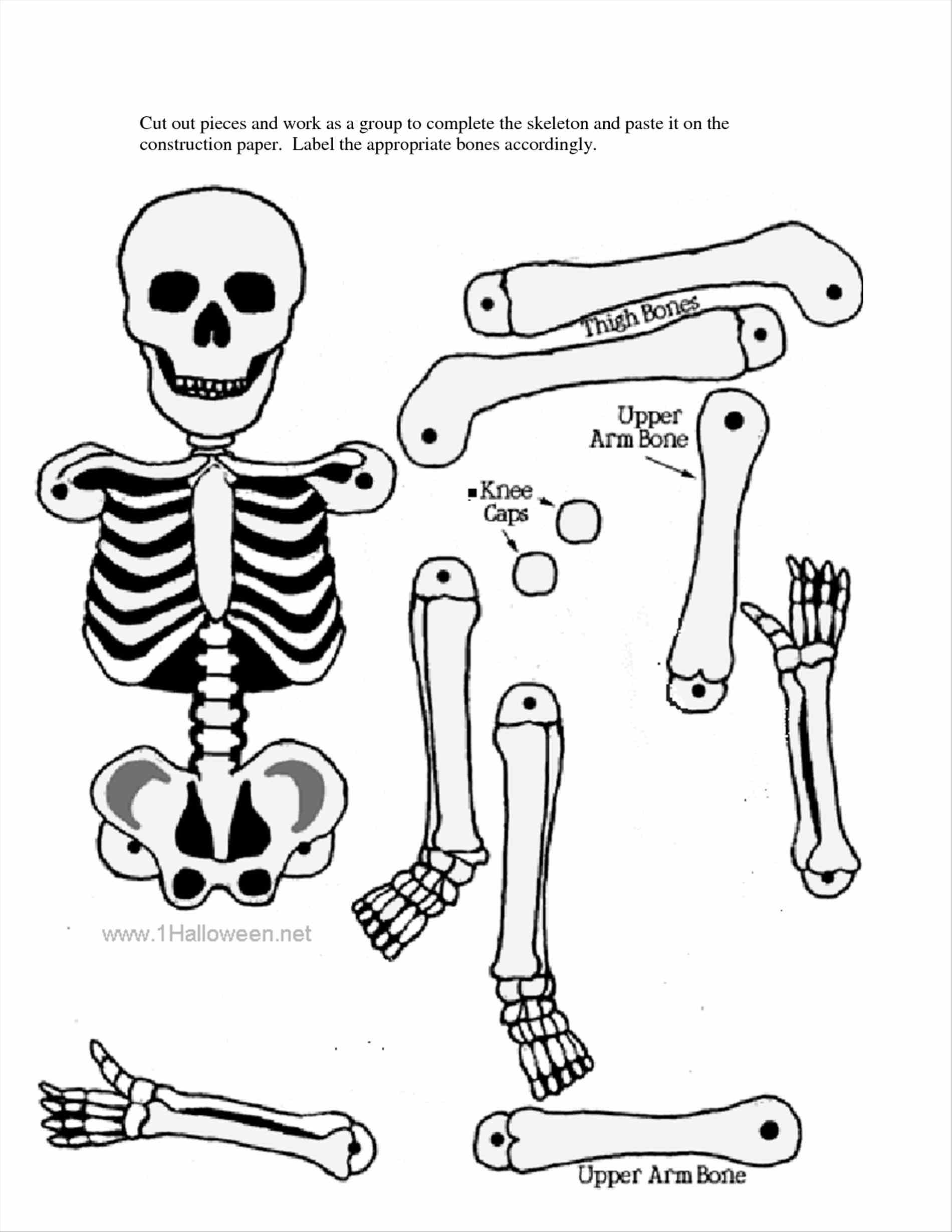 simple human skeleton drawing