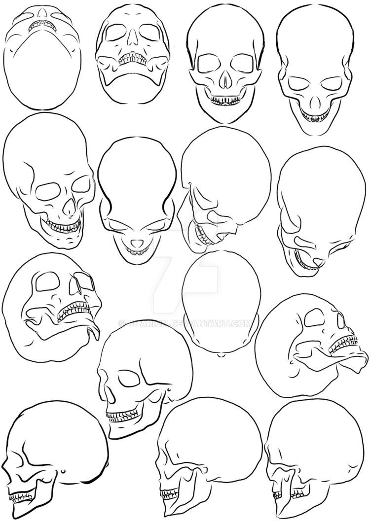 Human Skull Drawing Reference at GetDrawings Free download