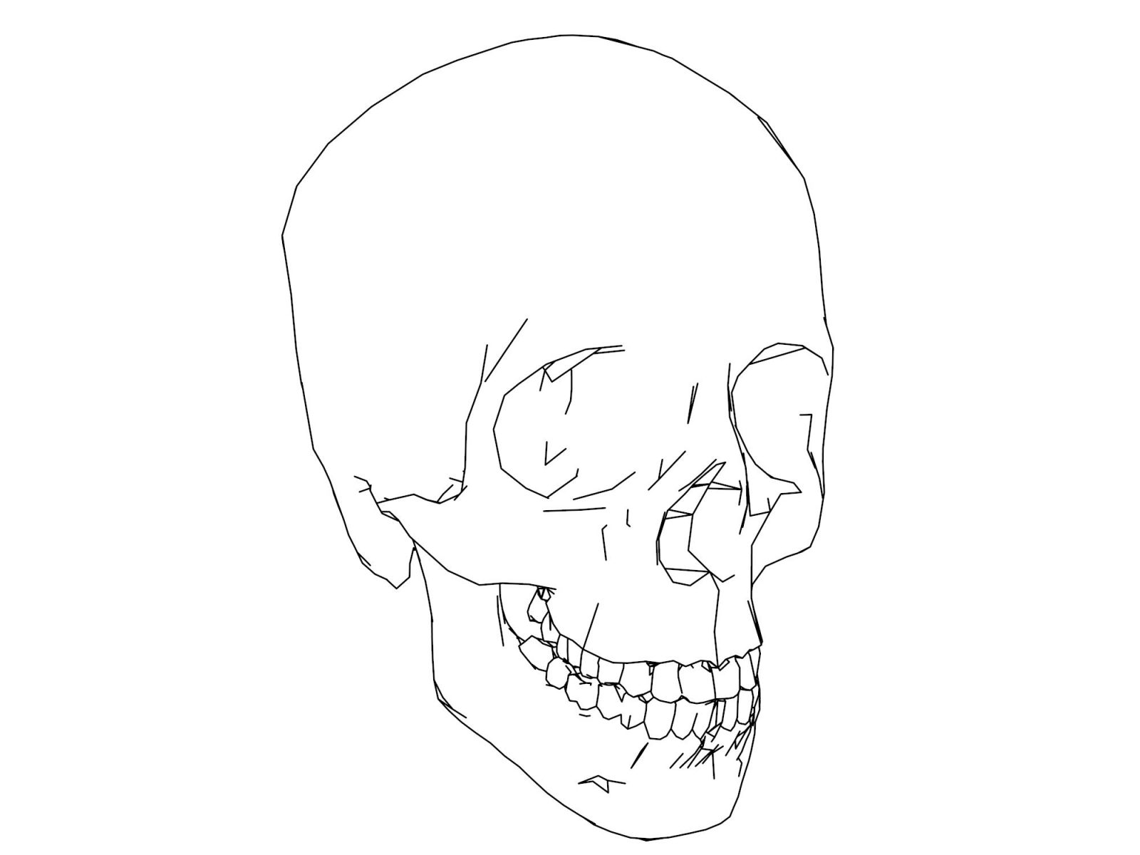 Human Skull Line Drawing At Getdrawings Free Download