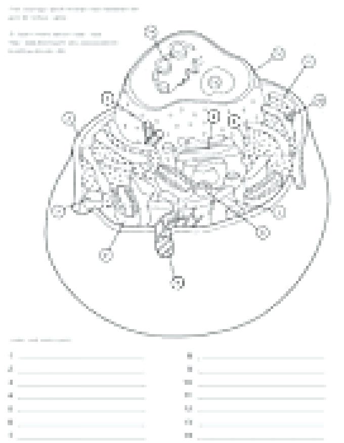 The best free Worksheet drawing images. Download from 1477 free