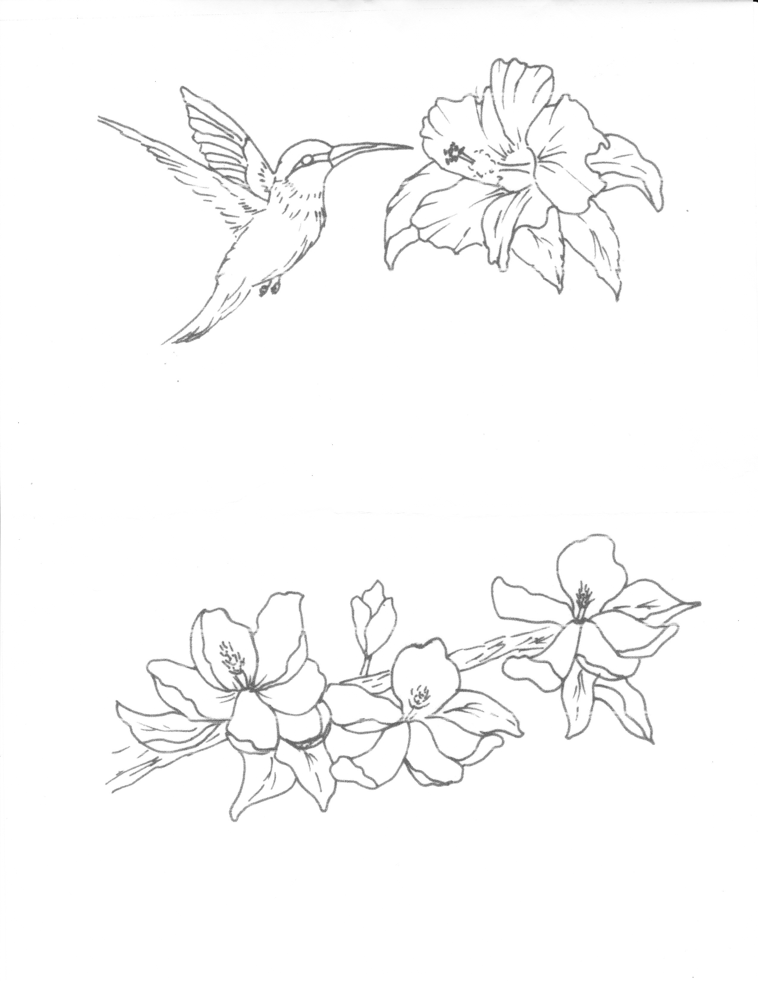 Hummingbird And Flower Drawing at GetDrawings Free download