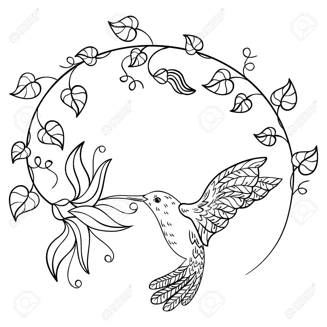 hummingbird flower vector drawing drinking flowers nectar bird tattoo circle coloring clipart flying silhouette inscribed illustration stylized getdrawings silhouettes vectors