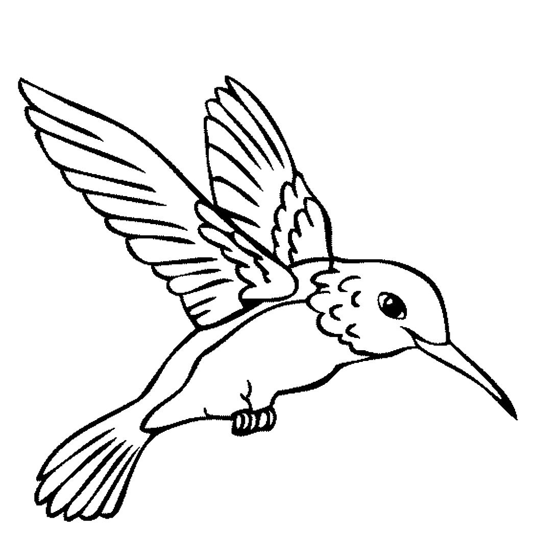 hummingbird drawing easy clipart getdrawings
