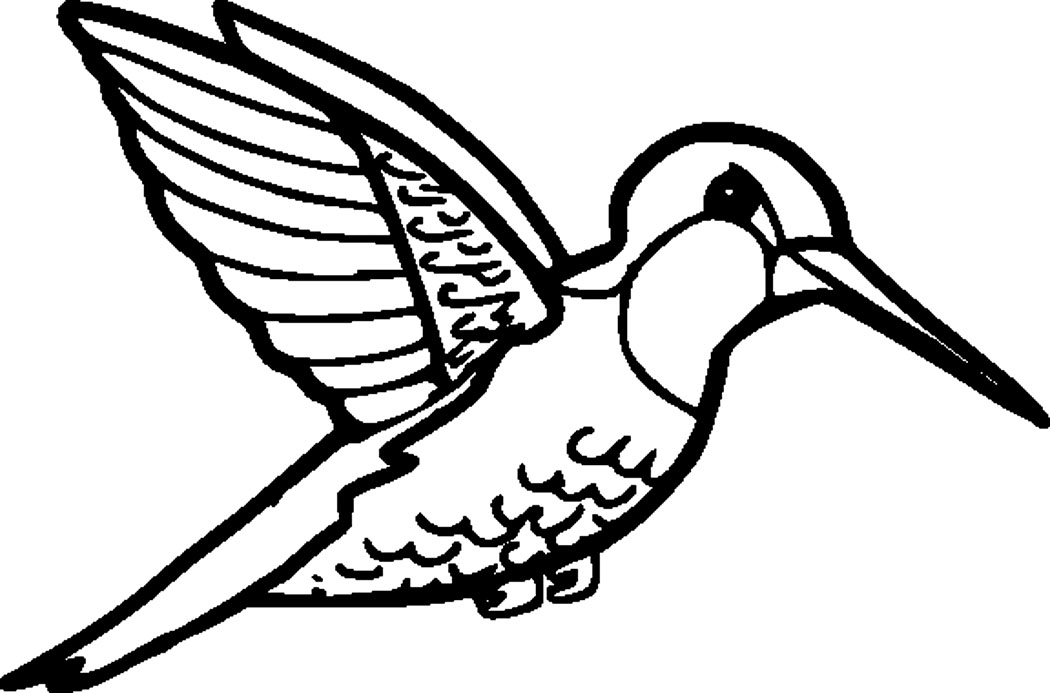 Hummingbird Drawing Free at GetDrawings | Free download