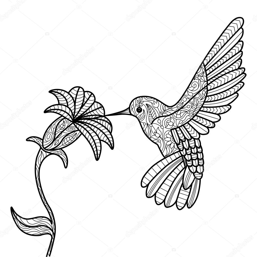 Hummingbird Flower Drawing at GetDrawings | Free download