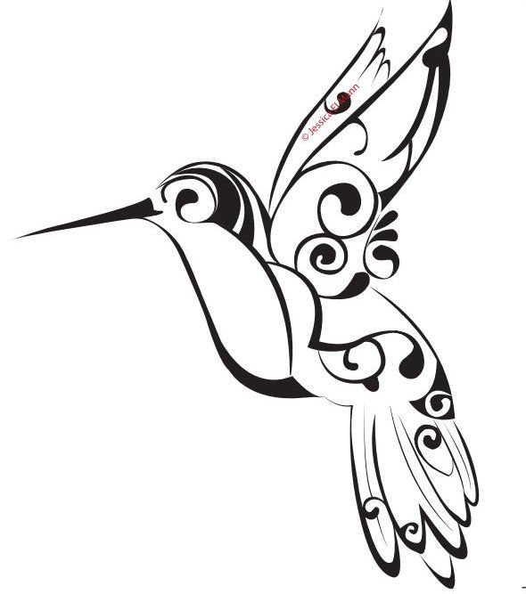 Hummingbird Line Drawing at GetDrawings | Free download