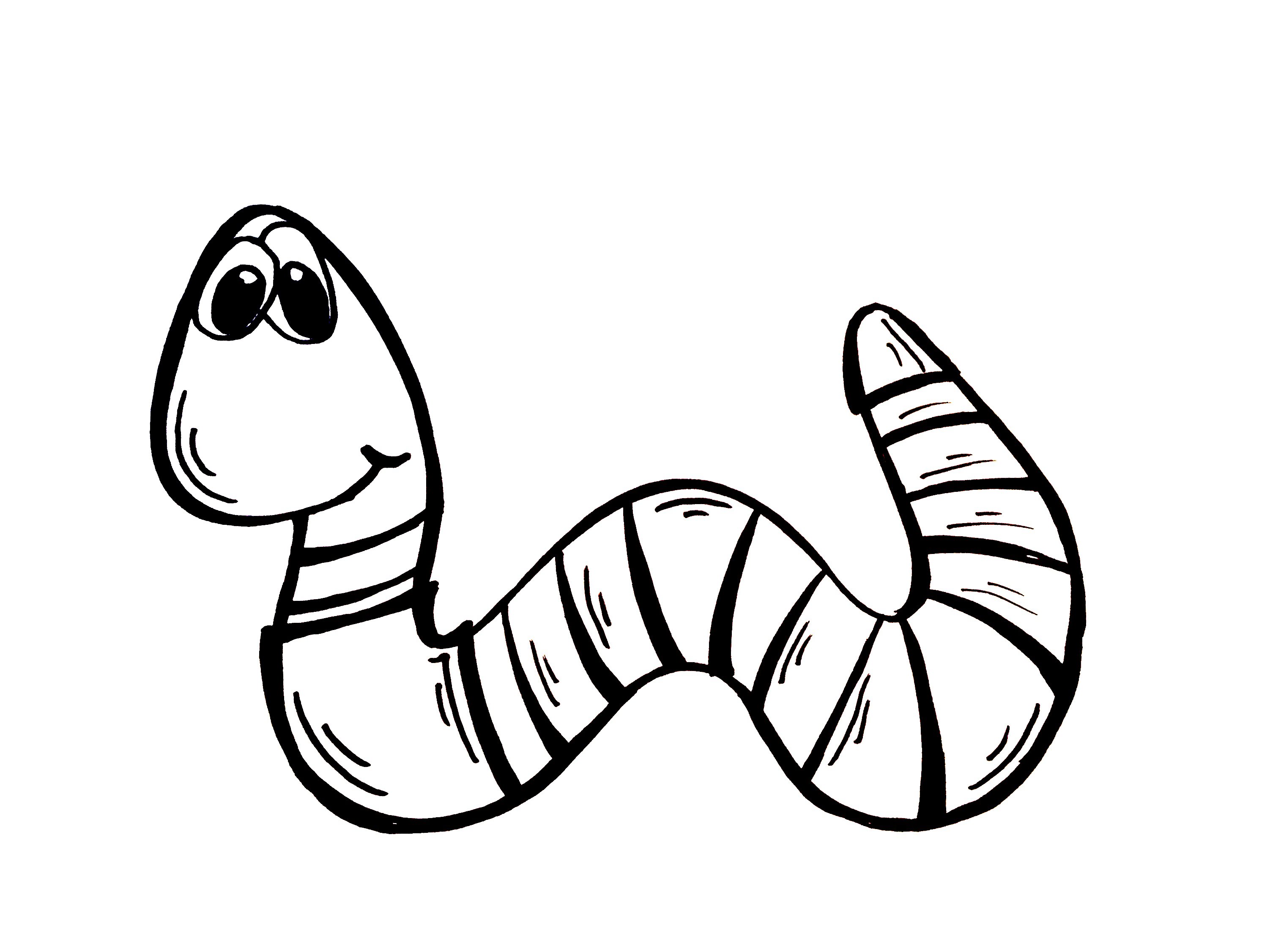 Inchworm Drawing at GetDrawings | Free download