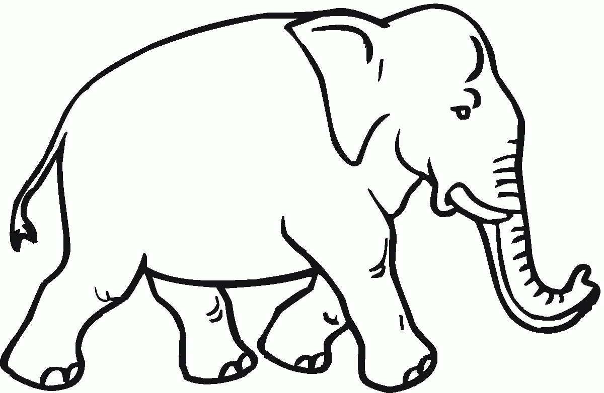Indian Elephant Line Drawing at GetDrawings | Free download