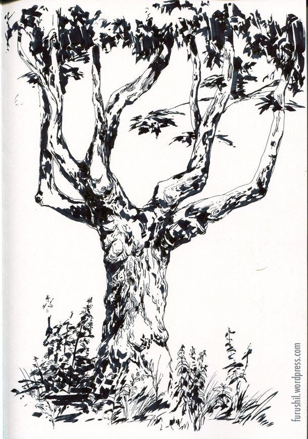 Ink Tree Drawing at GetDrawings Free download