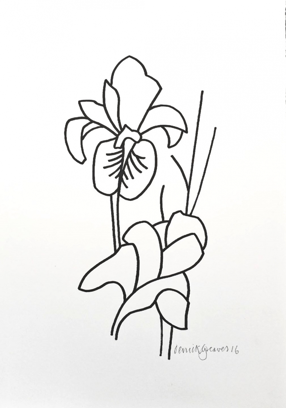 Iris Drawing at GetDrawings Free download