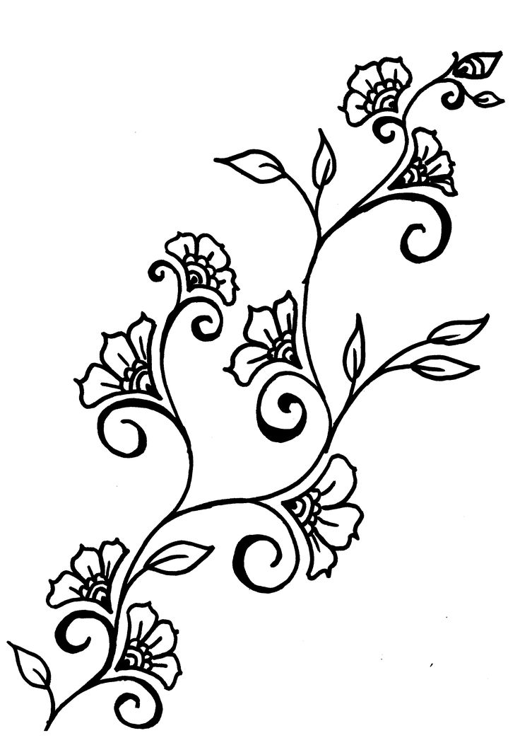 Ivy Vines Drawing at GetDrawings Free download