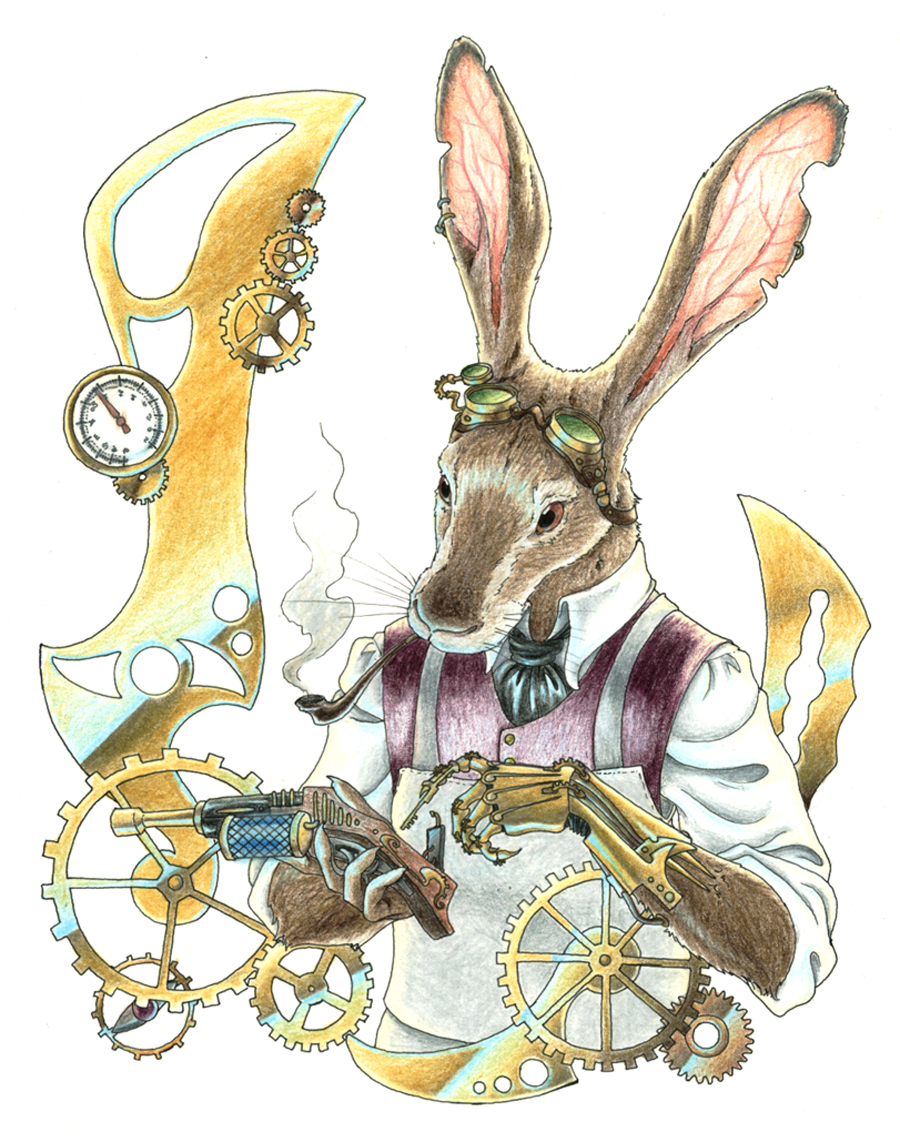 Jack Rabbit Drawing at GetDrawings Free download