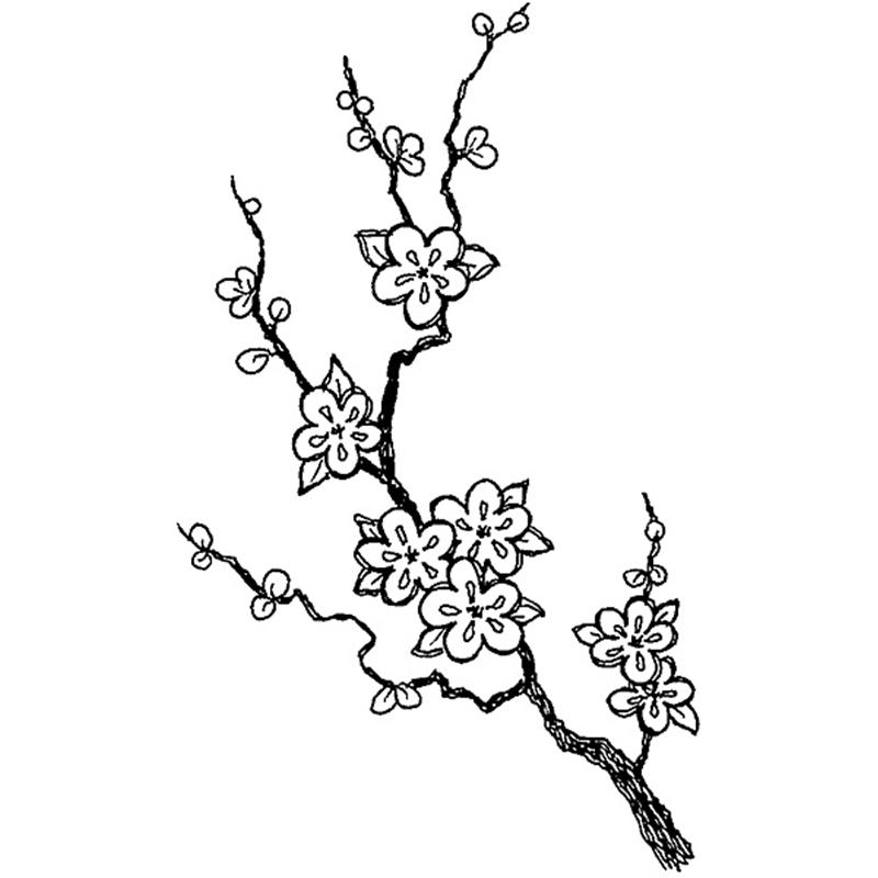 Japanese Cherry Blossom Drawing at GetDrawings | Free download