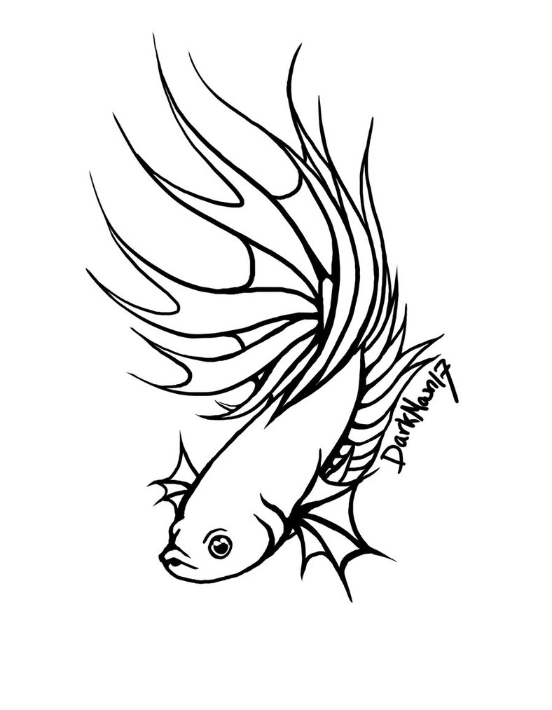 Image Titled Draw A Betta Fish.