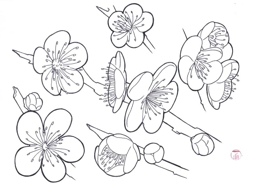 Japanese Flowers Drawing at GetDrawings | Free download
