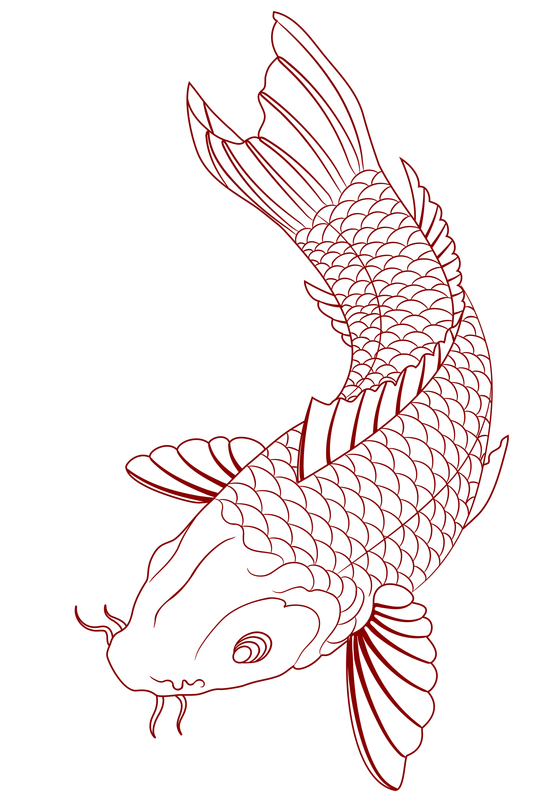 koi fish sketch