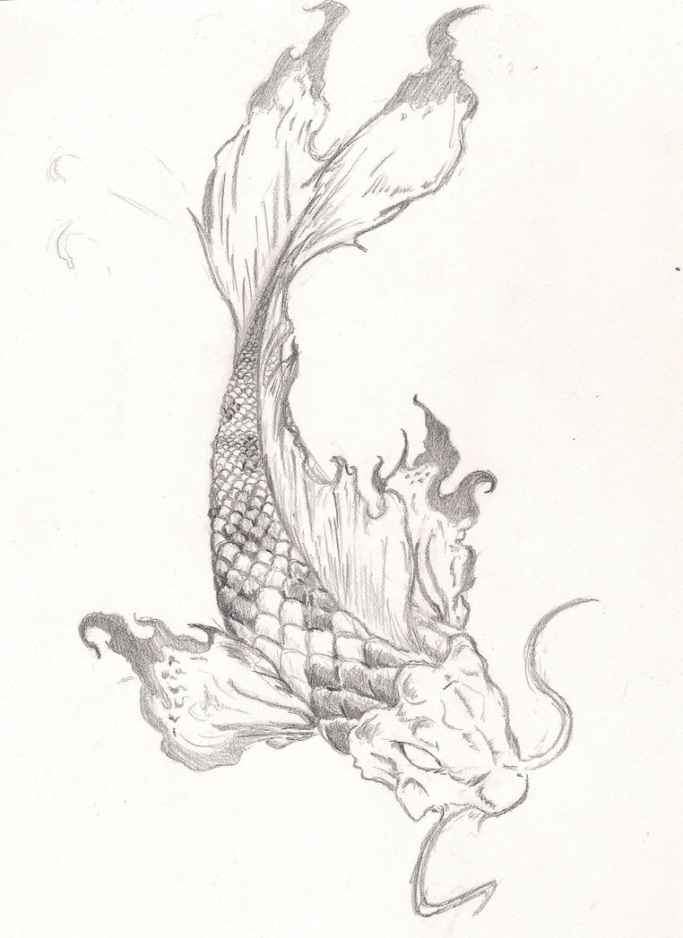 Japanese Koi Fish Drawing At GetDrawings Free Download